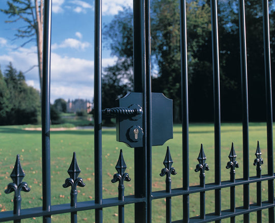 Locinox dekoratyvinis spynos gaudytuvas su dezute.