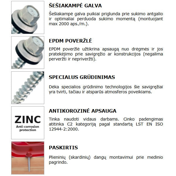 Savigreziai stoginiai i medi sesiakampe galva cinkuoti savybes